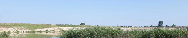 nyam-lebed-dvoyka-s-pet-malki-rzhevo-konare.jpg